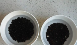 黑米黑豆黑芝麻豆浆机,营养早餐新选择