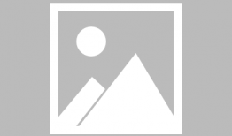 动物园漫画,趣味漫画背后的故事